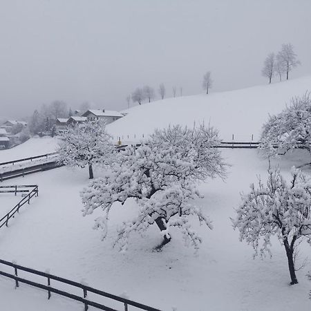 Landidyll Am Thiersee Zewnętrze zdjęcie