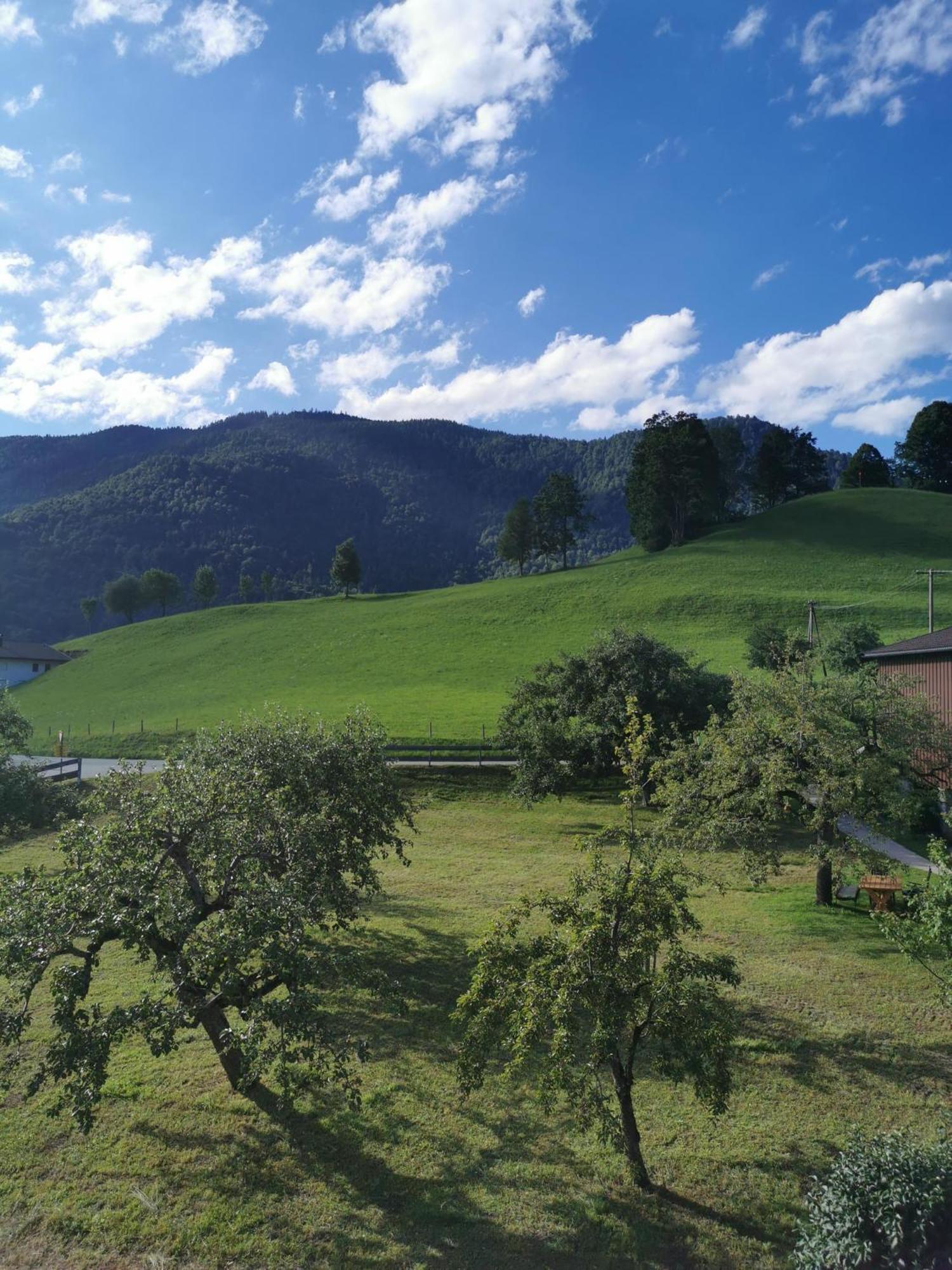 Landidyll Am Thiersee Zewnętrze zdjęcie