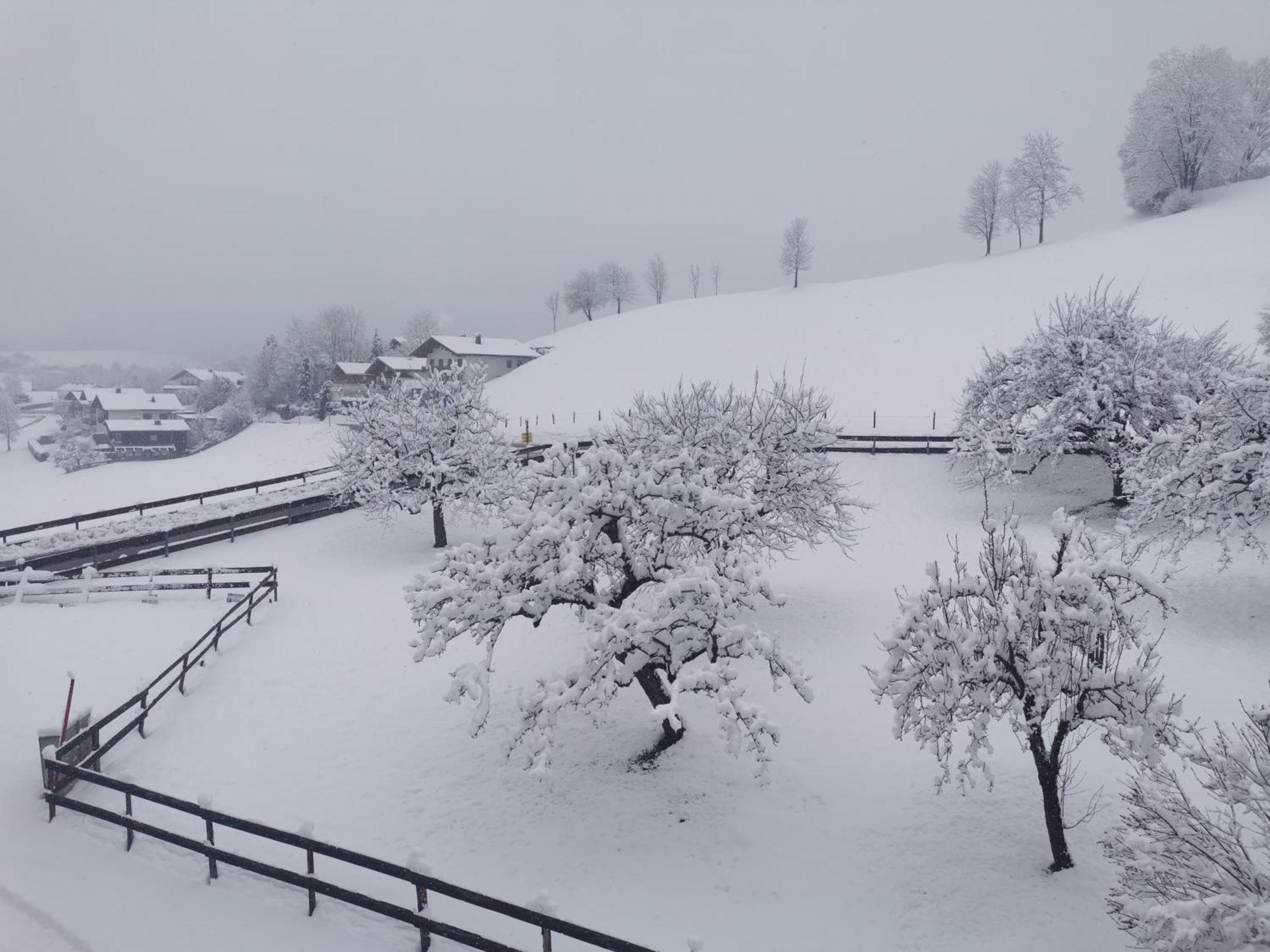 Landidyll Am Thiersee Zewnętrze zdjęcie